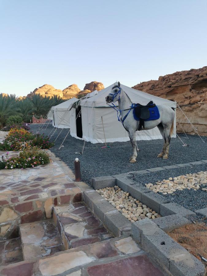 Rural Tents Naseem الخيمةالريفيةalouzaib Al-'Ula Exterior foto