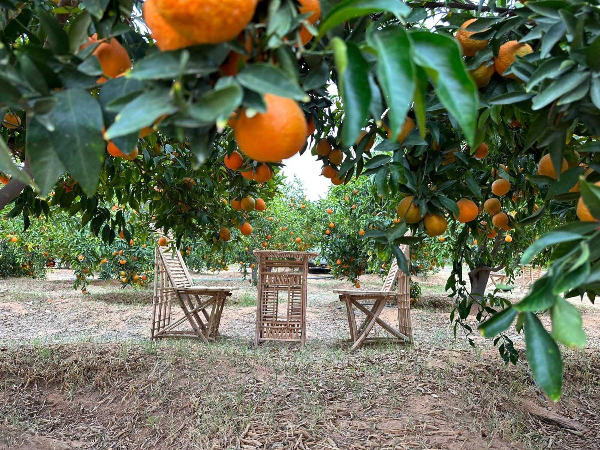 Rural Tents Naseem الخيمةالريفيةalouzaib Al-'Ula Exterior foto